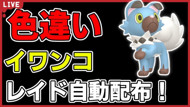 【ワンパン最速】色違いイワンコレイド自動配布！【ポケモンSV】#1