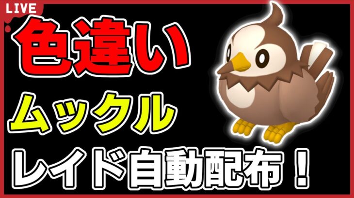 【ワンパン最速】色違いムックルレイド自動配布！【ポケモンSV】#5