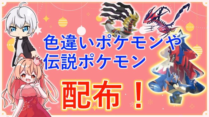 【#ポケモンSV】一年ぶりのコラボ配布会！色違いポケモン＆伝説ポケモン配布！w/可憐でかわいくて、とてもやさしいちろるん様