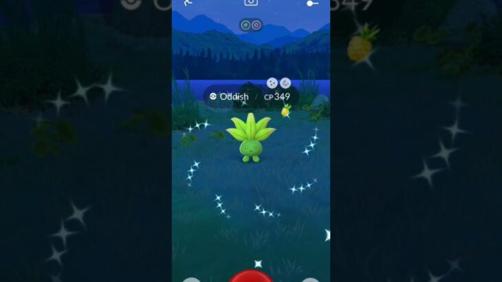 Shiny Oddish – @pokemongo #pokemon #pokemongo #shinypokemon #ポケモン #ポケモンgo