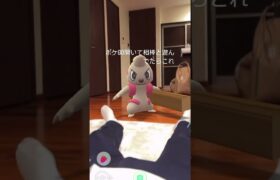 ▶急所に 当たった！ #Shorts #TikTok #Pokemon #おすすめ #ポケモン #ポケモンgo #ペット #犬 #犬のいる暮らし #おもしろ #面白い #バズれ #爆笑 #おもしろ動画