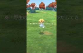 UMA🛸野生のユクシーがとびだしてきた！#ポケモンgo#ポケモン #Pokemon#pokemongo #準伝説 #ユクシー#UMA#野生#レアポケモン