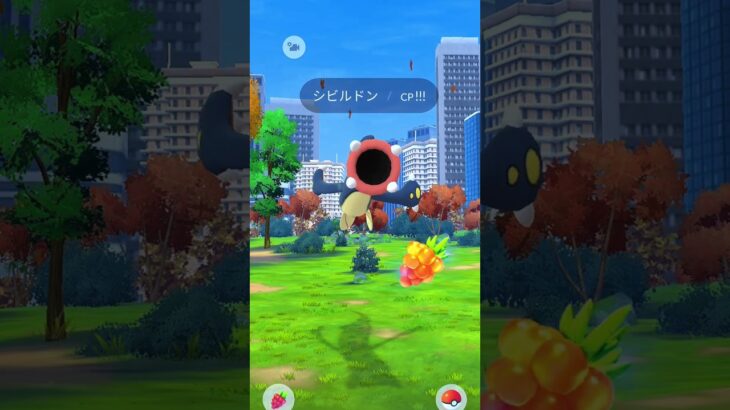 あ！つよいシビルドン🌷がとびだしてきた！cp！！！#ポケモンgo #Pokemon#pokemongo #シビルドン#サファリボール#ポケモンイベント