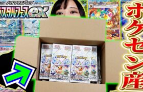 【ポケカ】売り切れ続出中のお祭りパックがポケモンセンターから大量に届いたので一気に贅沢開封した結果やばすぎた！！！！！【テラスタルフェスex開封動画】