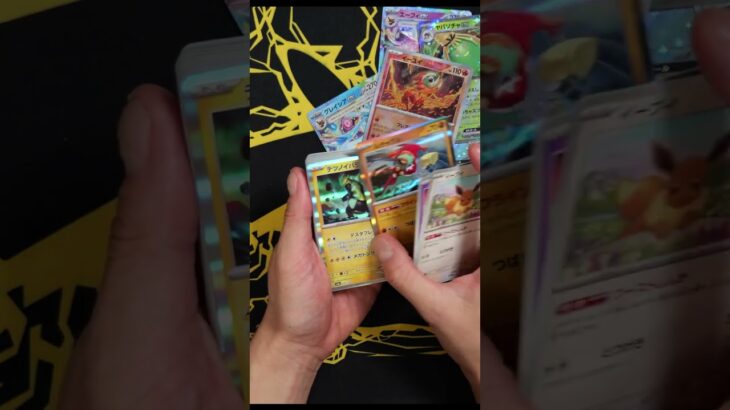 テラスタルフェスex1カートン分開封 #ポケモンカード #ポケポケ #pokemontcg