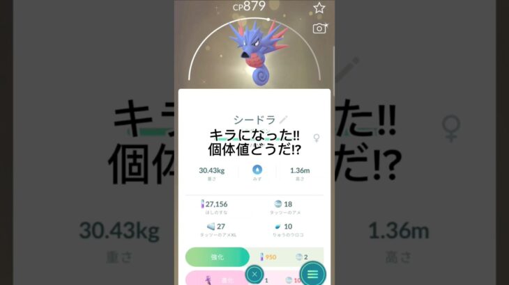 通常交換でキラシードラ!!個体値どうだ!?#ポケモンgo #ポケモン