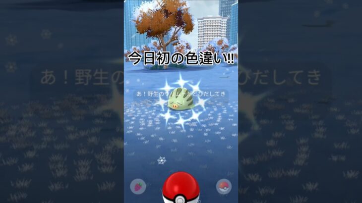 今日のポケ活!!#ポケモンgo #ポケモン #色違い