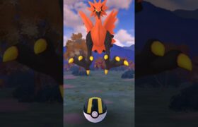 散歩中にガラルサンダー#ポケモンgo #伝説