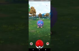 色違いの,コンパンｷﾀ━(ﾟ∀ﾟ)━! #ポケモンgo #色違いポケモン