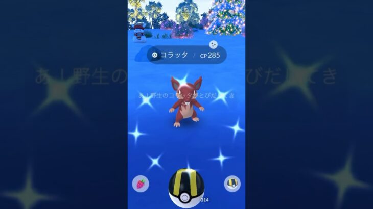 色違いコラッタだけはゲットしたい◓⃙⁣ #ポケモンgo #色違い #コラッタ