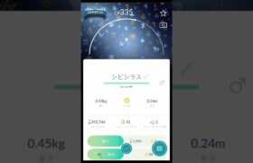 【 ポケモンgo 】2024Xmas背景シビシラス ！鳴き声ギチギチwww【 うさぴよの巣 】#pokemongo #ポケットモンスター