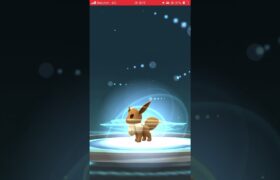 イーブイを相棒にせず進化する方法　#ポケモンgo