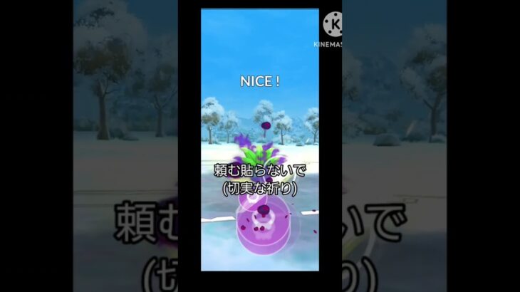 【謎の草】チームププリンズ　破壊神召還 #ポケモンgoバトルリーグ