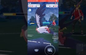 ええ仕事したでぇ🕊️スーパーリーグ対あり！#ポケモンgo