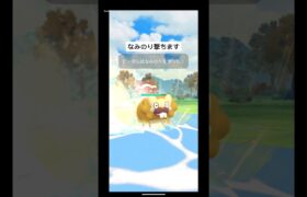 新シーズンで超強化‼️転がれ！ビーダル‼️#スーパーリーグ #ポケモンgoバトルリーグ #ポケモンgo #おすすめにのりたい #shorts #色違い