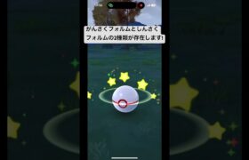 あなたのヤバチャは本物ですか?#ポケモンgo #pokemongo #しんさく #がんさく