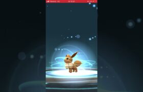 裏技試してみた #ポケモンgo #pokemongo #ポケgo #ポケモン