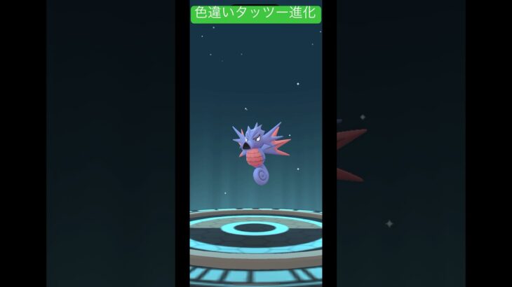 色違いタッツーが進化！キングドラは何色になる！？#ポケモンgo #ポケモン #shorts #short #pokemongo #pokemon