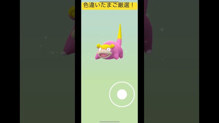 色違いたまご厳選！色違い出るかな！？#ポケモン #ポケモンgo #shorts #short #pokmongo #pokemon