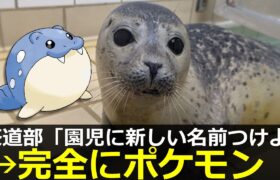 アザラシ幼稚園、園児にポケモンネームをつけてしまう