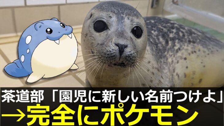 アザラシ幼稚園、園児にポケモンネームをつけてしまう