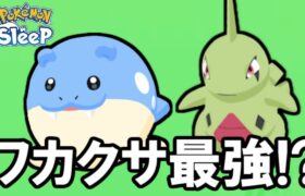 あれ？ワカクサ、もしかして強い・・・？【ポケモンスリープ】