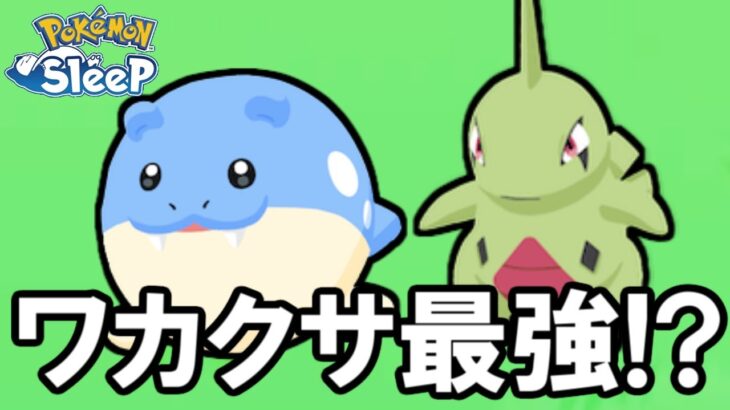 あれ？ワカクサ、もしかして強い・・・？【ポケモンスリープ】