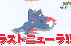 【ポケモンスリープ】ラストウノハナニューラをゲットしていくぜ！！