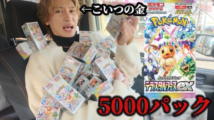 友達の金で最新ポケカありえへんくらい買い占めてブラッキー当てさせてみた【テラスタルフェス】