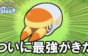 夢が叶いました。【ポケモンスリープ】