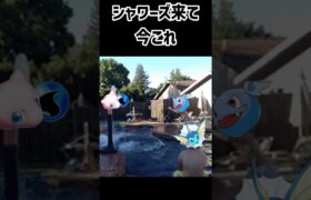 シャワーズ来て今これ#ポケポケ#カメックス#シャワーズ #ポケモン