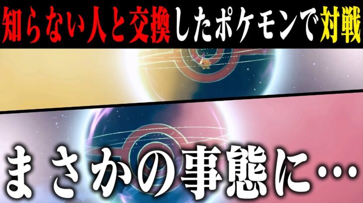 【マジカル対戦】ネットの海から最強ポケモンを引き当ててバランス大崩壊ｗｗｗ年末最後の運試しバトルでポケモン廃人が激闘を繰り広げます