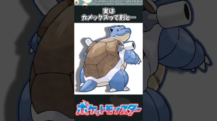 【ポケモン】実はカメックスって割と… #ポケモン #反応集