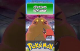 【おもしろ画像】ポケモンの笑える画像貼ってくれ！【ポケモン反応集】