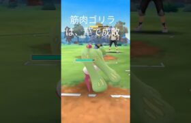 ポケモンＧＯーーー