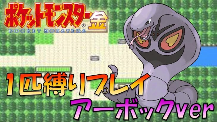 【ポケモン金銀】あけましたおめでとうございます!巳年なので技を強化したアーボックから旅してジョウトを1匹で蹂躙してみた!!【ゲーム実況】【縛りプレイ】