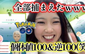 【優勝🏆️】ニャオハ😸☘️コミュニティデイで個体値100＆逆100✨️GBL個体もGET💯ポケモンGO Pokémon GO 포켓몬고