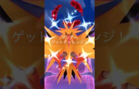 ダイマックスサンダー色違い100が欲しいですよね〜　#ポケモンGO #ダイマックスサンダー　#ダイマックスマンデー