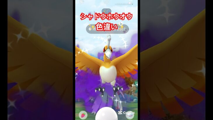 【色違い】個体値100%のホウオウを作ります!#ポケモンGO #pokemongo #ポケモン #色違い