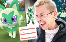 ニャオハ色違い100%！！色違いXXLも！！！色違いスペシャル背景も！！！！全部でたぁああ！！！【ポケモンGO】