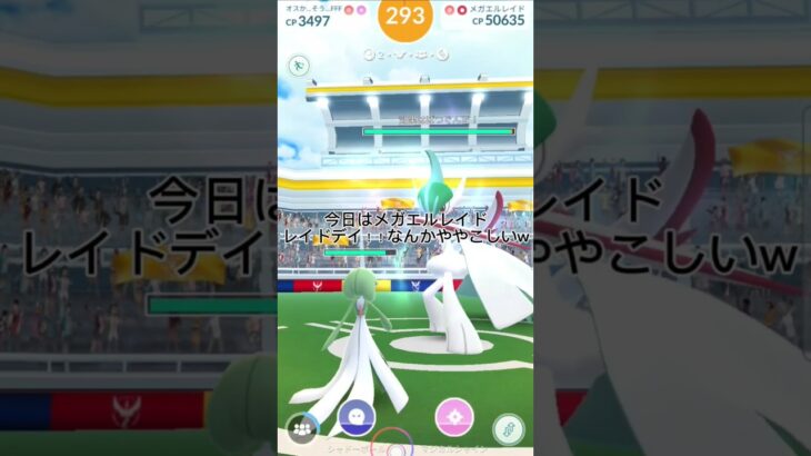 メガエルレイドレイドデイ！！色違い100はでるか！？#ポケモンgo #メガエルレイドレイドデイ