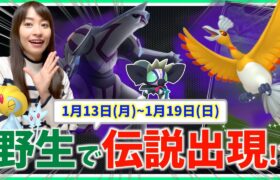 野生で伝説ポケモン出現！？シャドウパルキア・ホウオウだけじゃない!?1月13日~1月19日までの週間攻略ガイド【ポケモンGO】