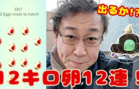 【再投稿】出るか!?シルシュルー!? 12キロ卵12連！したっぱの手持ちについても話してます！【ポケモンGO】