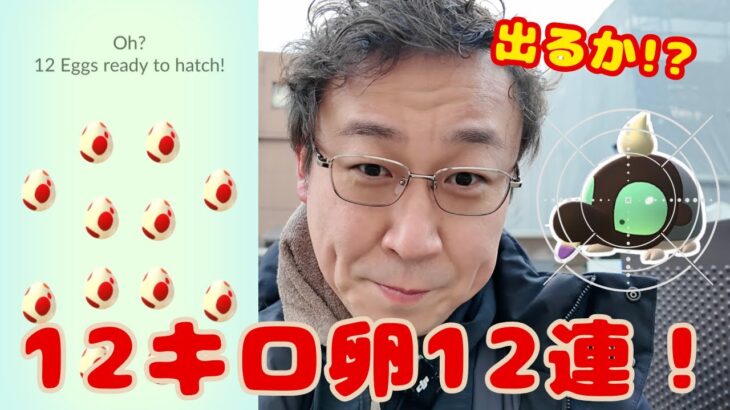 【再投稿】出るか!?シルシュルー!? 12キロ卵12連！したっぱの手持ちについても話してます！【ポケモンGO】