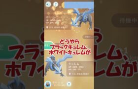 ✨キュレム🐲✨第22回キラ交換 #ポケモンgo #pokemongo #pokemongoshorts