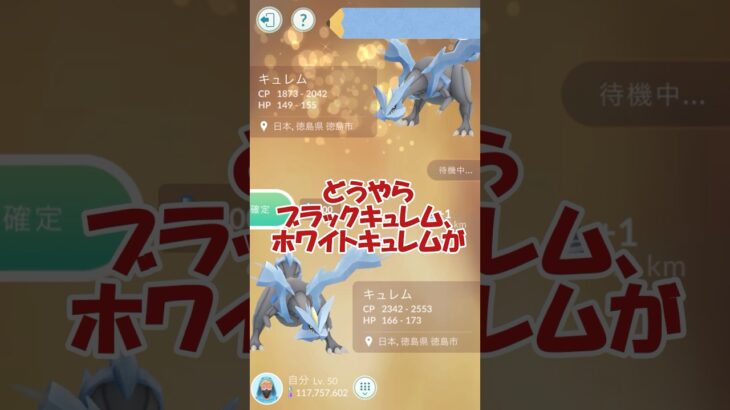 ✨キュレム🐲✨第22回キラ交換 #ポケモンgo #pokemongo #pokemongoshorts