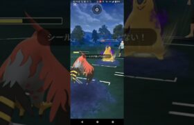 4色カップ【ポケモンGO】ファイアロー、Sワタッコ、デンヂムシ