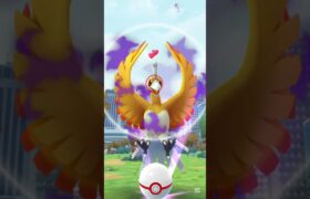 シャドウホウオウレイドDAY色違いの確率は？#ポケモンGO #pokemon #shorts