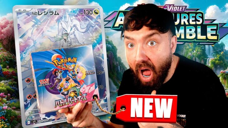 EXCLUE ! OUVERTURE DISPLAY POKÉMON AVENTURES ENSEMBLE ! ( EV9 )