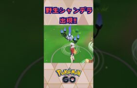 野生でシャンデラGET‼【ポケモンGO】